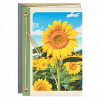Sunflowers Blank Card